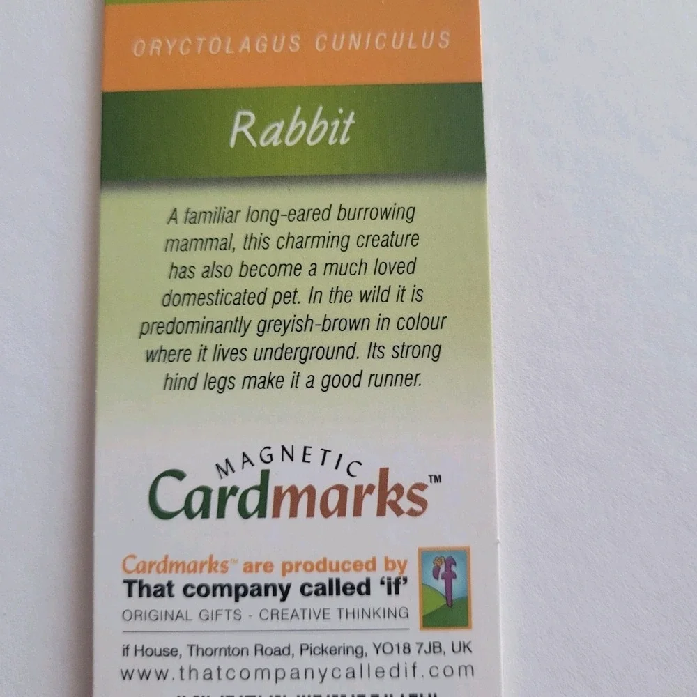 Cardmarks Bunny Rabbit Wild Animals Magnetic Magnet UK Company If #2407, Y2k 00s